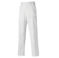 Dickies Painter's trousers (WD824) White